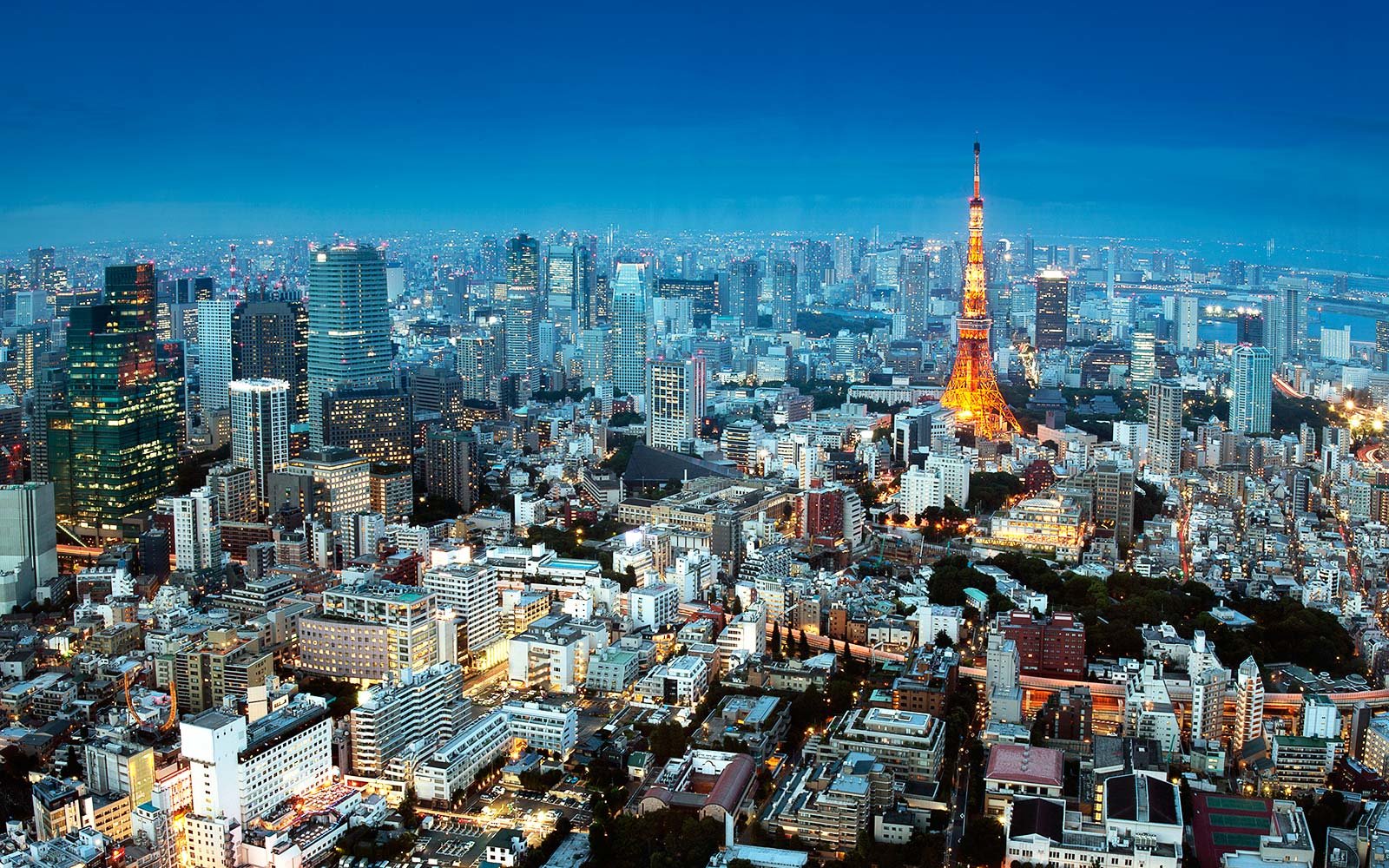 雅虎日本将经纪公司YJFX更名为PayPayFX